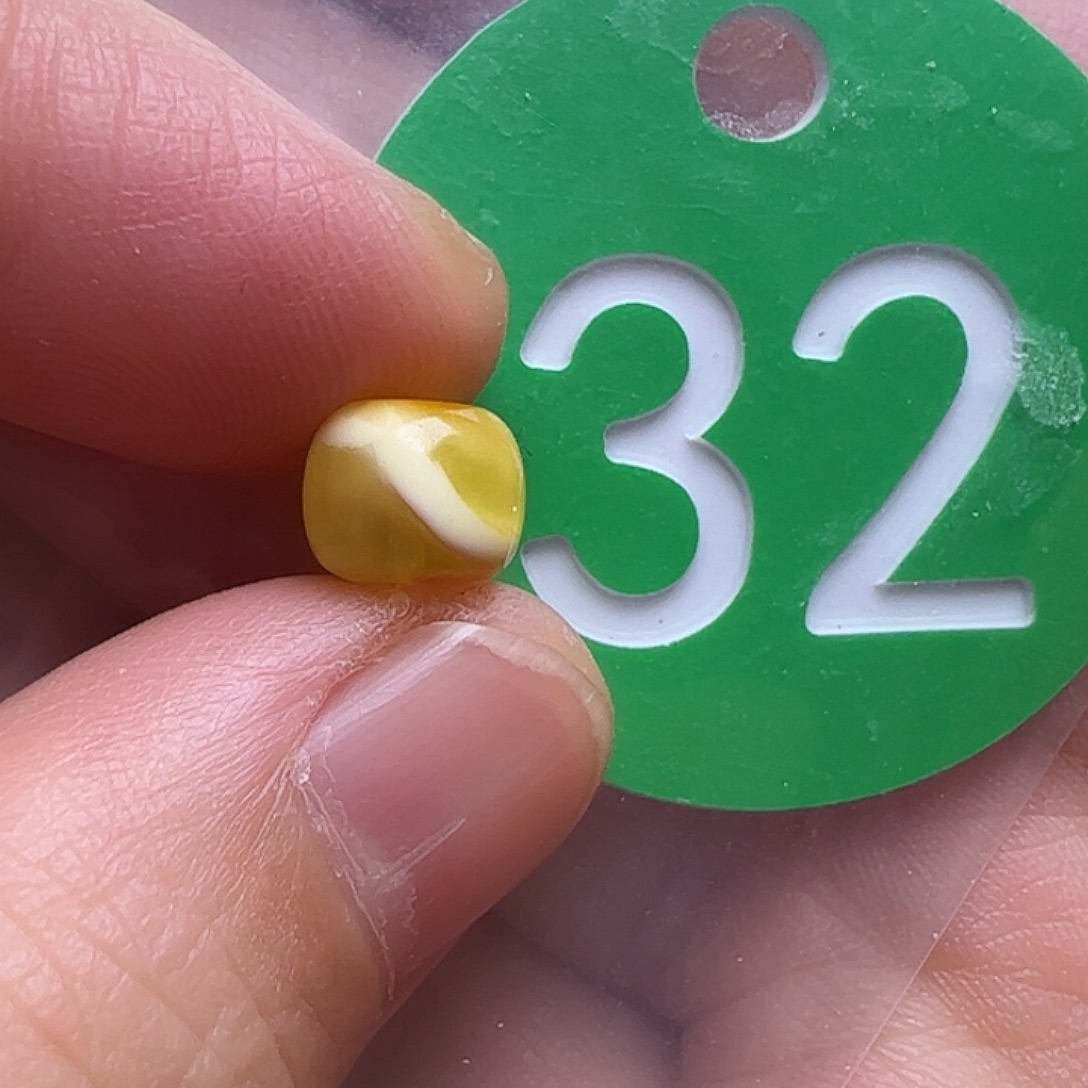 蜜蜡未镶嵌珠宝奇石7.5m m