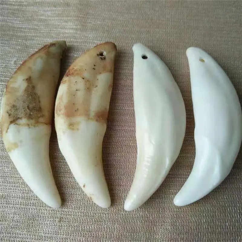 【臻品尺寸5.0+】成人真黑狗牙创意饰品男大獒牙女