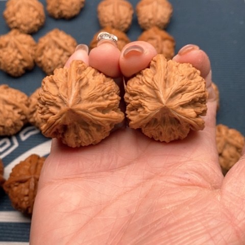 橄榄核手串/手链?***儿文山三棱