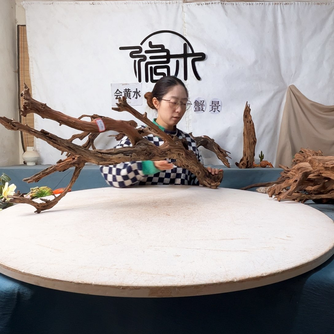 平****所沉木造景寄居蟹景