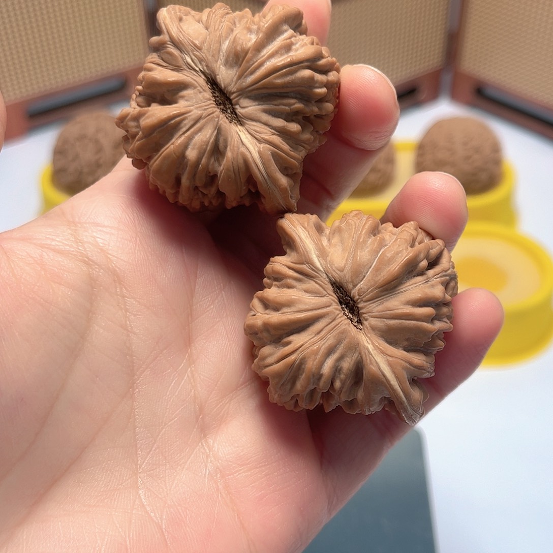 核桃45全品四座楼