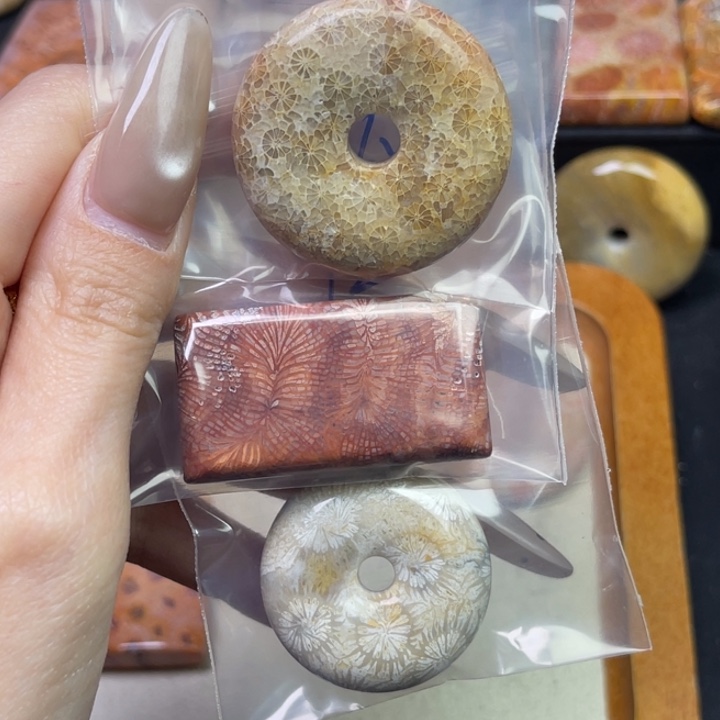 未镶嵌吊坠硅化珊瑚（珊瑚玉）