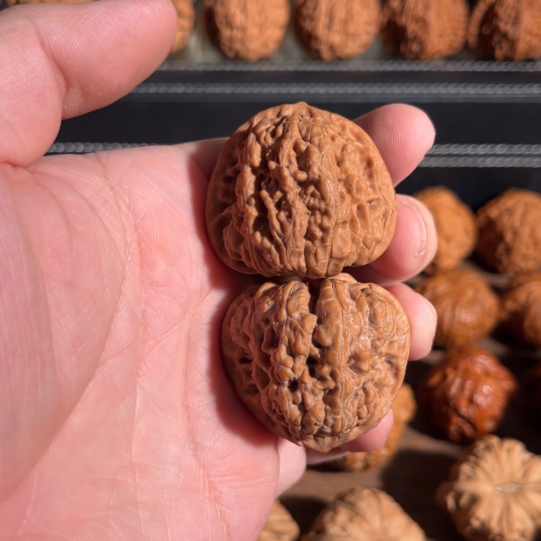 手串/手链核桃你****吧38全品闷墩