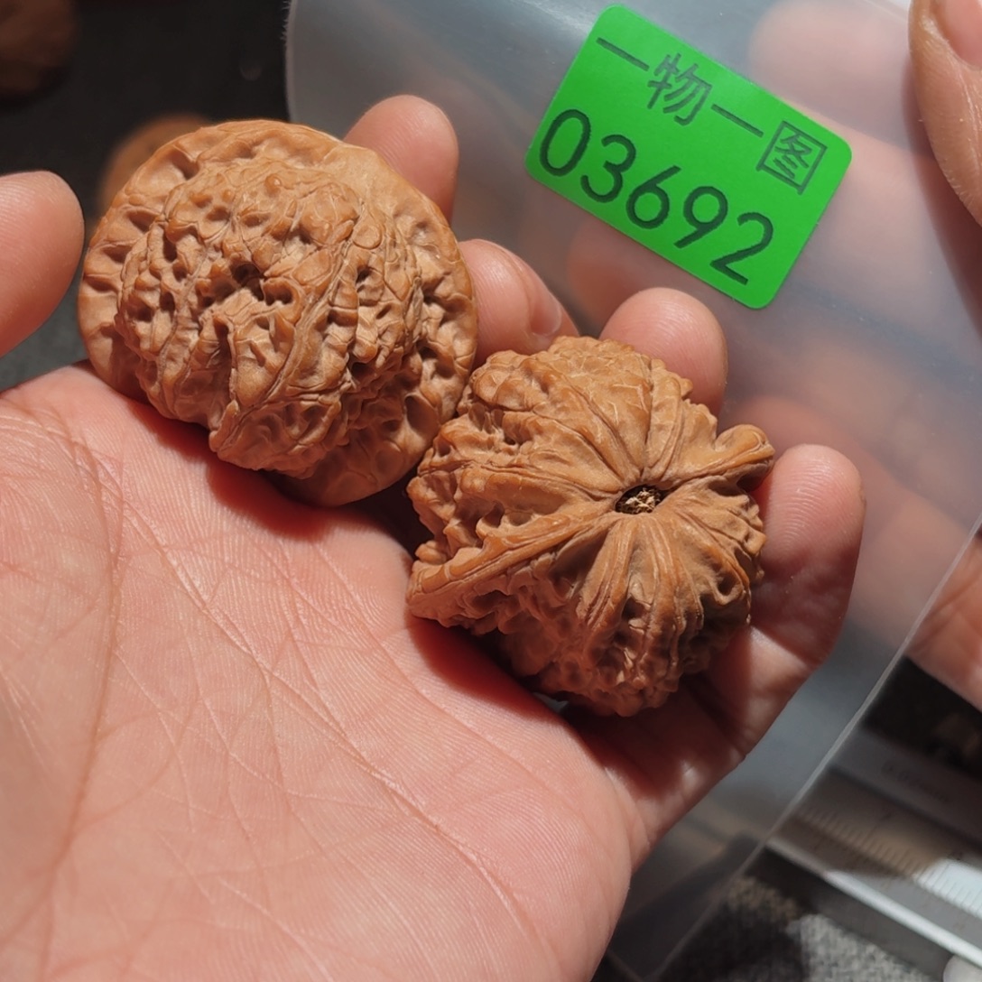 把件文玩核桃血麒麟