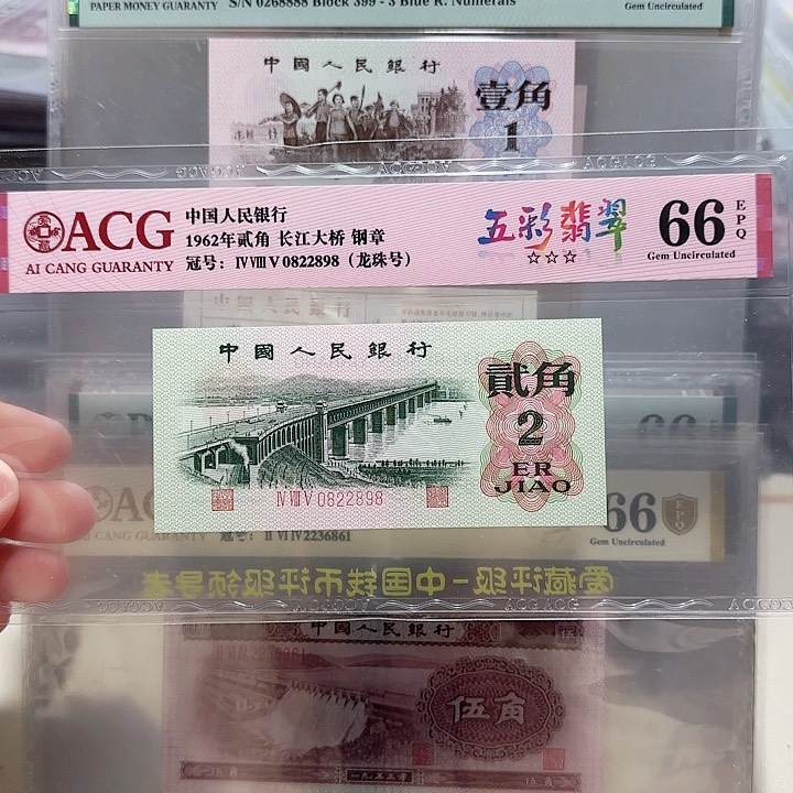 0822898。。。。。。。龙珠