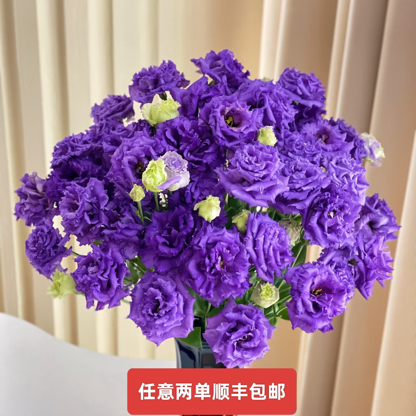 波浪深紫洋桔梗基地种植现采现发