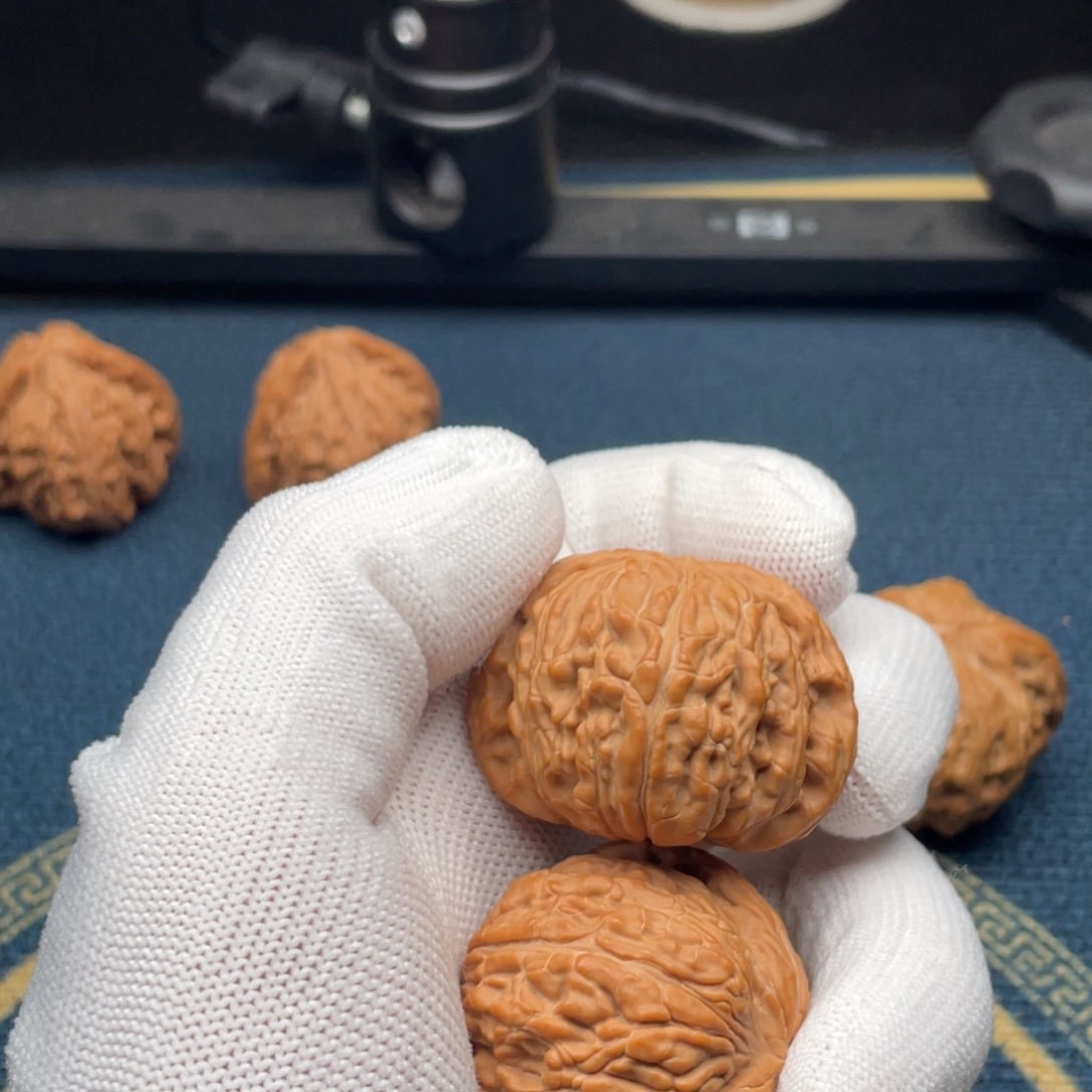 手***炮银S92541全品白狮子