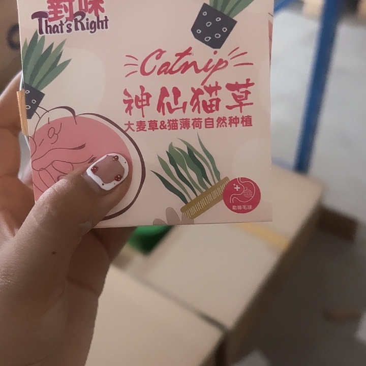 南****）四个过期神仙猫草【和彩虹红中订单一起发】