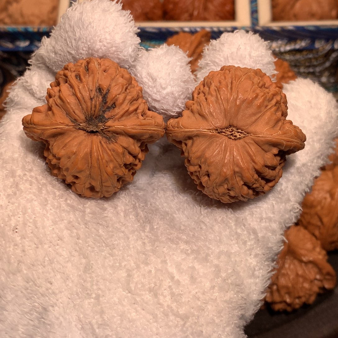 快***天文玩核桃把件37全品 太行山野生