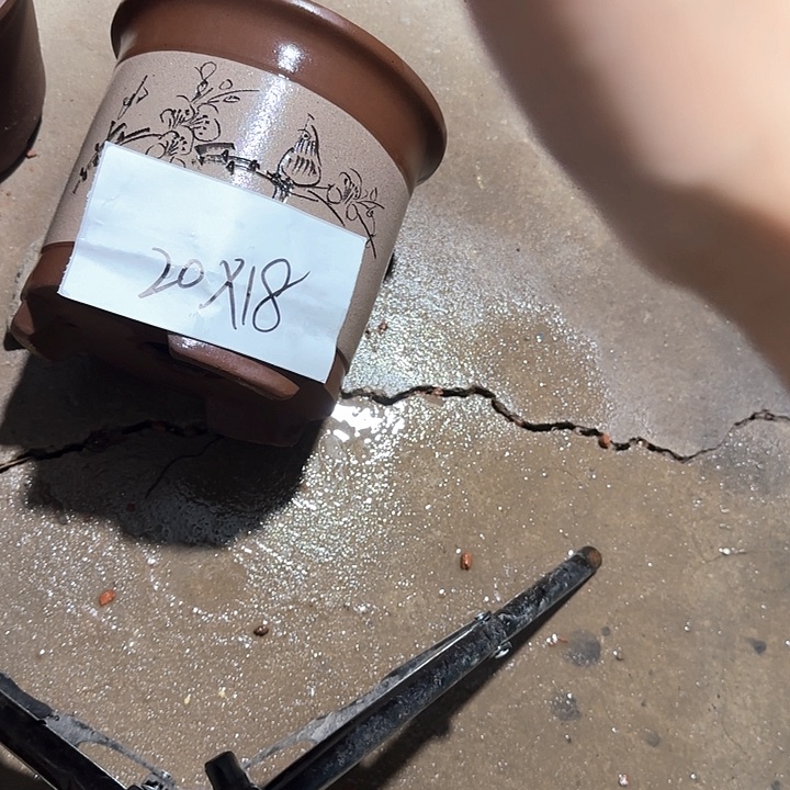 紫砂花盆破损包赔