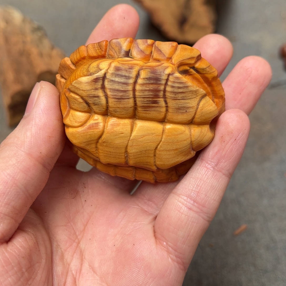 用***5柏木（崖柏）北太行陈化崖柏