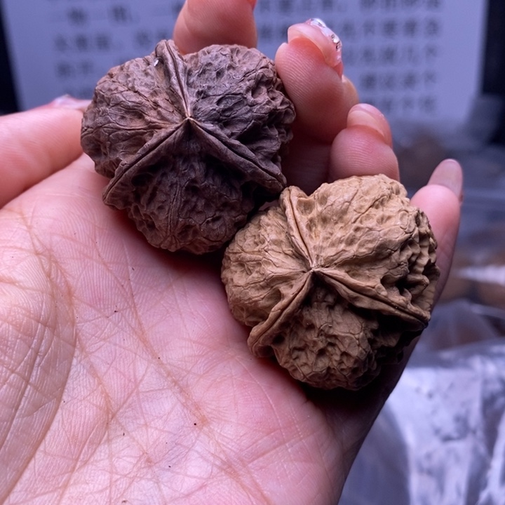 核桃云南野生铁核桃25号36mm