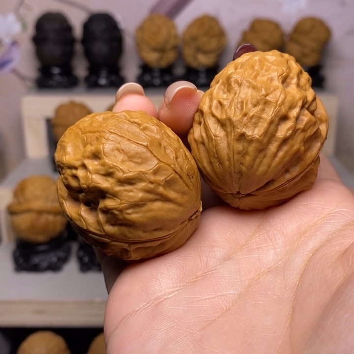 文玩核桃把件16Y—玄武金蟾43尺60克