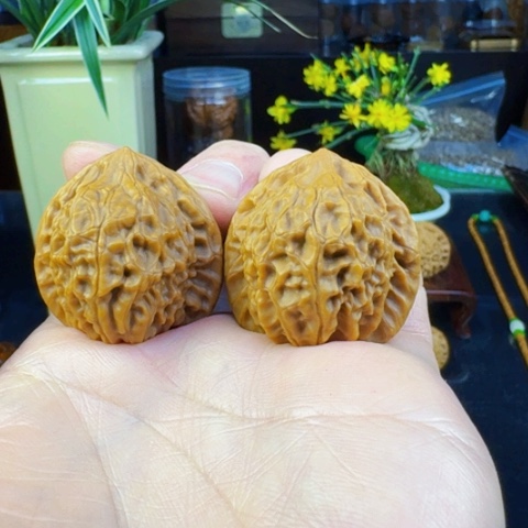 文玩核桃吊坠龙公子