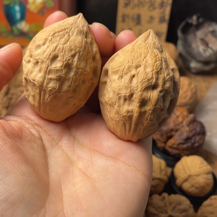 豆***精云南野生铁核桃编号146