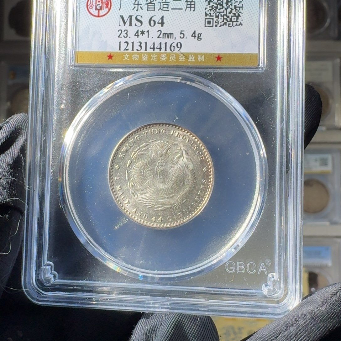 ****波银64 广东二角龙一个 小师妹MM209