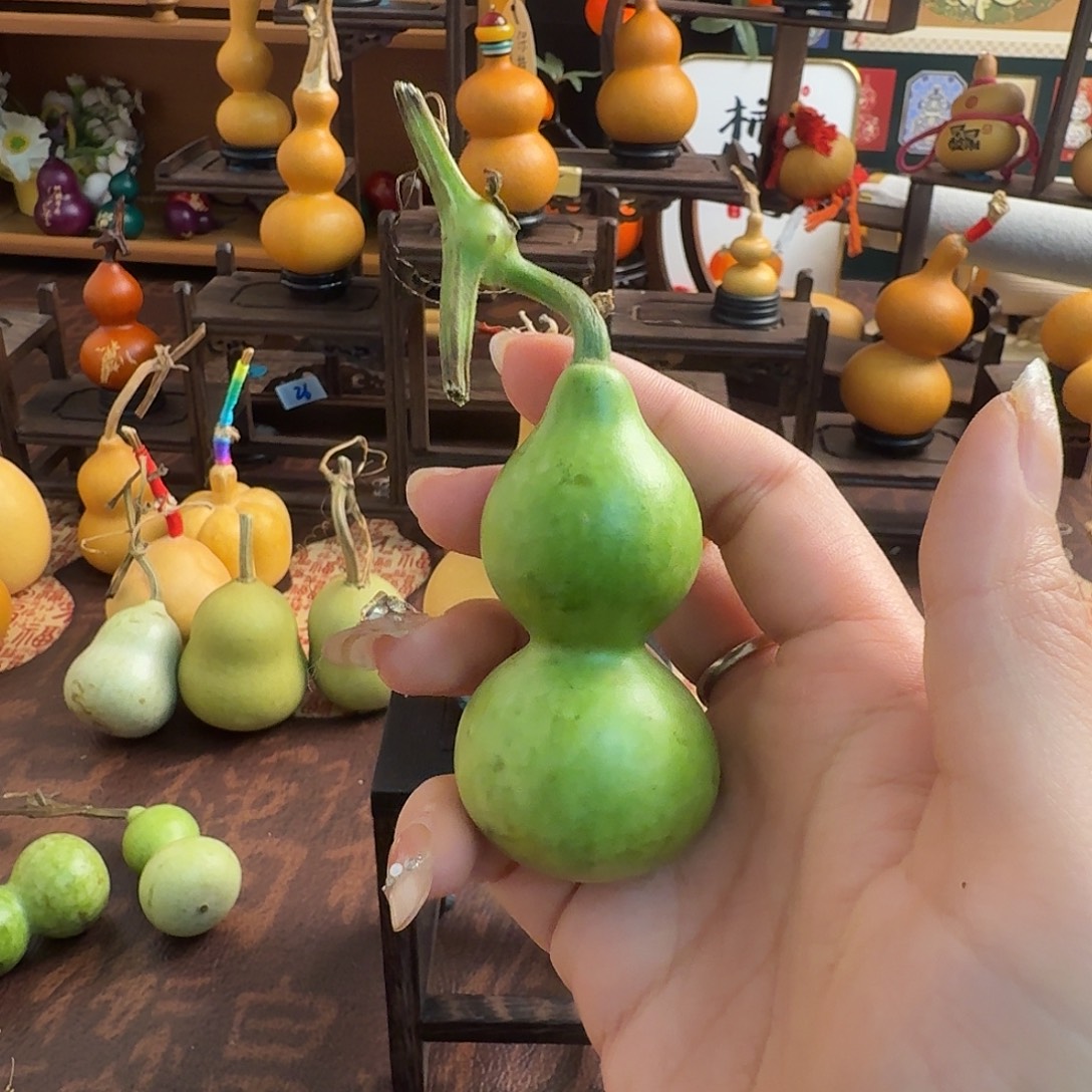 一***袭木绿皮葫芦直播间人多