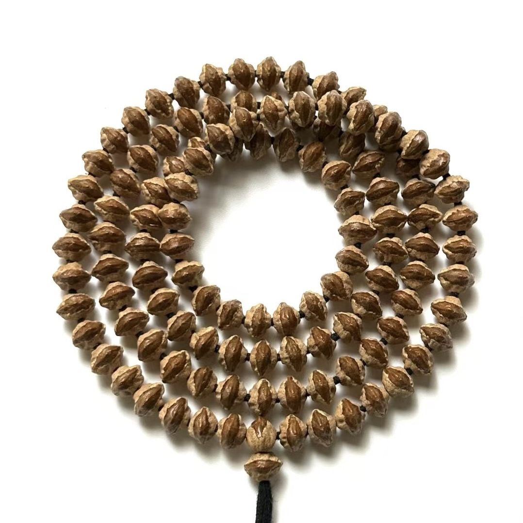 【红嘴兽】热振孤品红芽原装横打红唇高油高密8.5mm柏香籽百香籽 