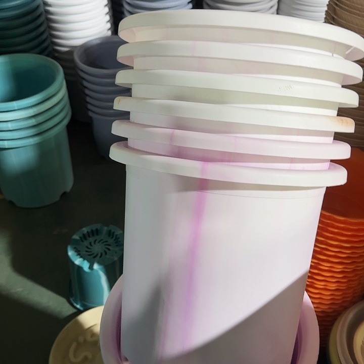 串色8#口径39白紫色5个无托