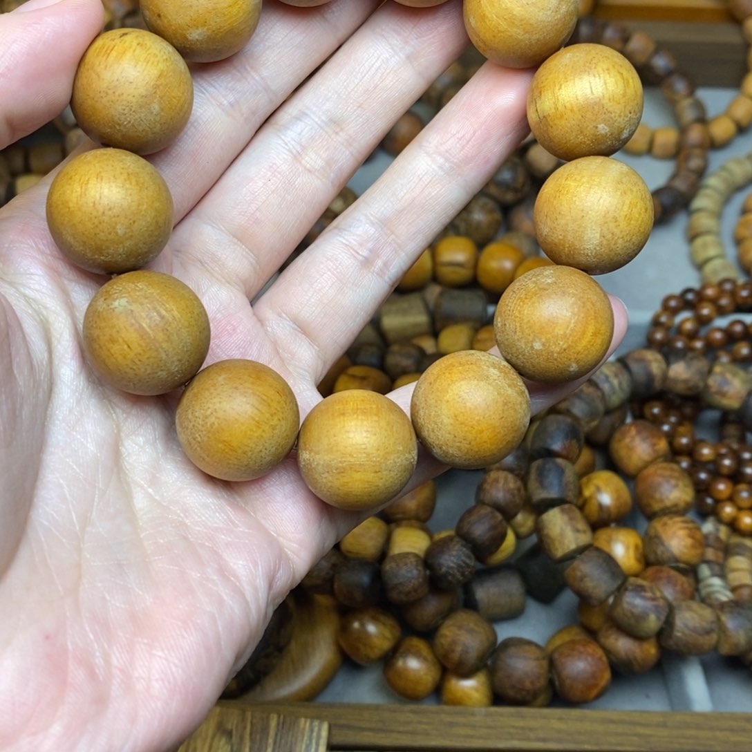 贡木脾**人贡木贡木贡木