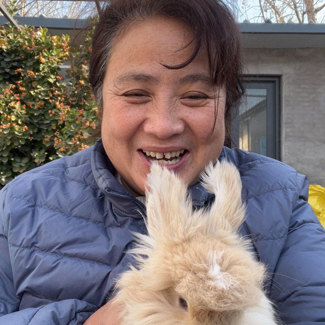 宠物兔英系安哥拉兔