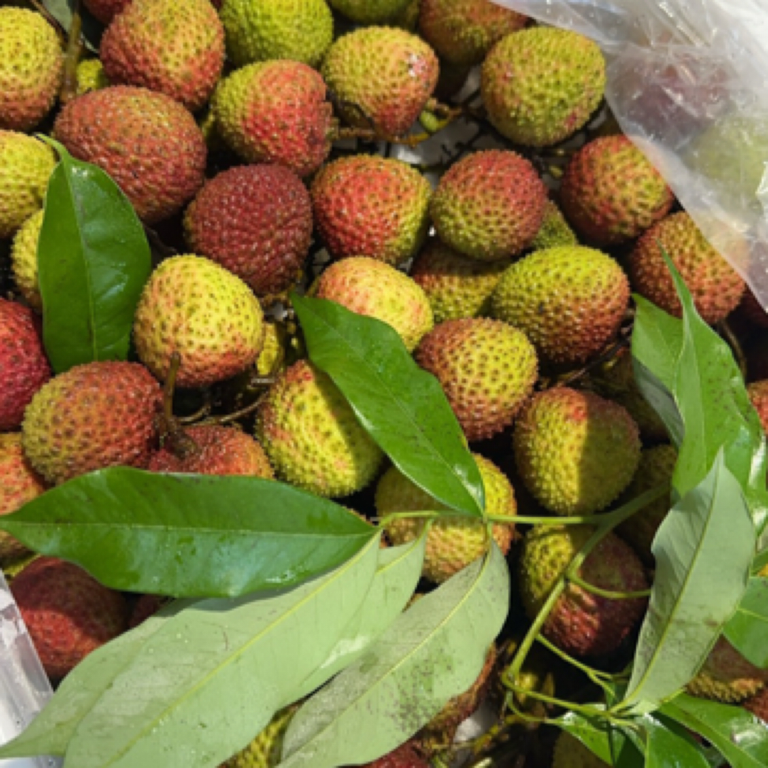 【妃子笑荔枝】一斤海南省