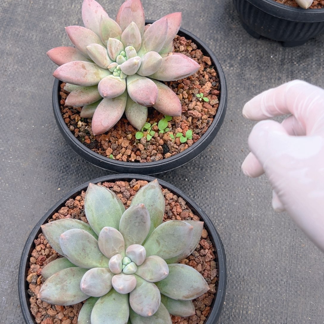 一***⁹827111111111111111111