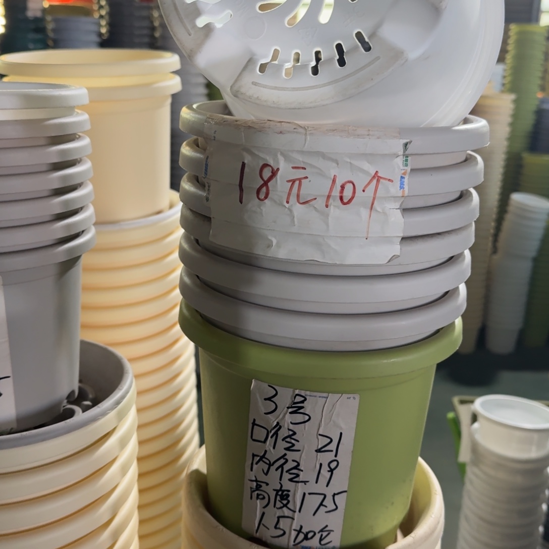 四季3#口径21无拖果绿10个