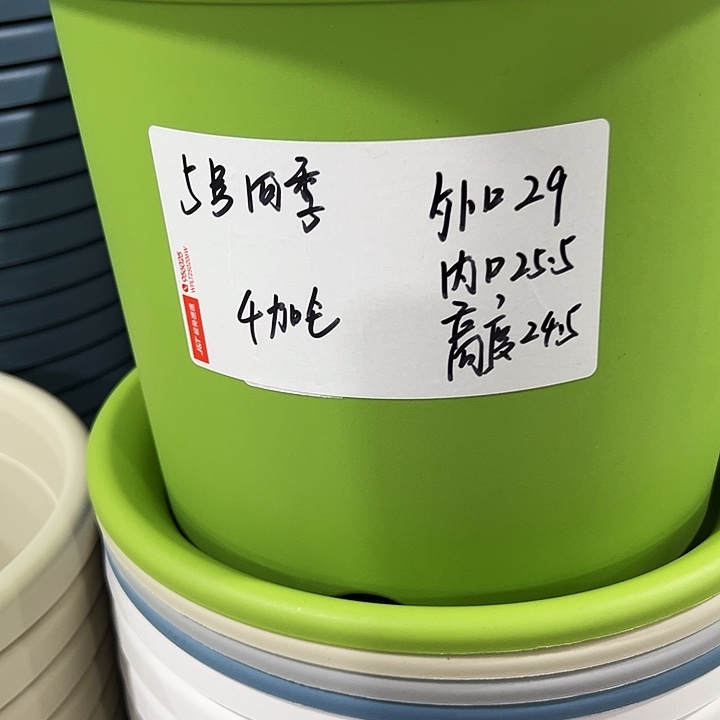 特价5号四季口25高21混色5个无托