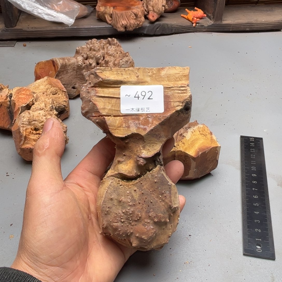 宽***哥无花朵000000000492