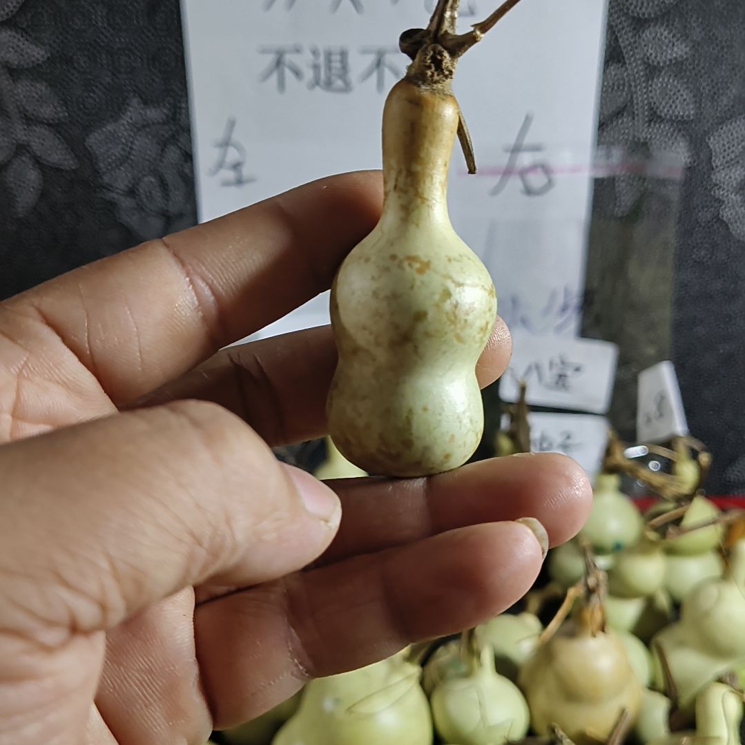 不退不换好葫芦好好好