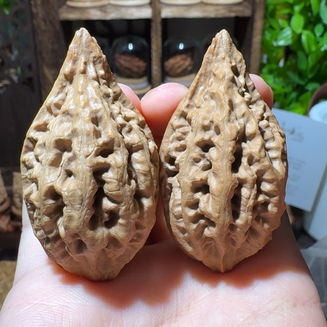 把件文玩核桃鸭嘴兽