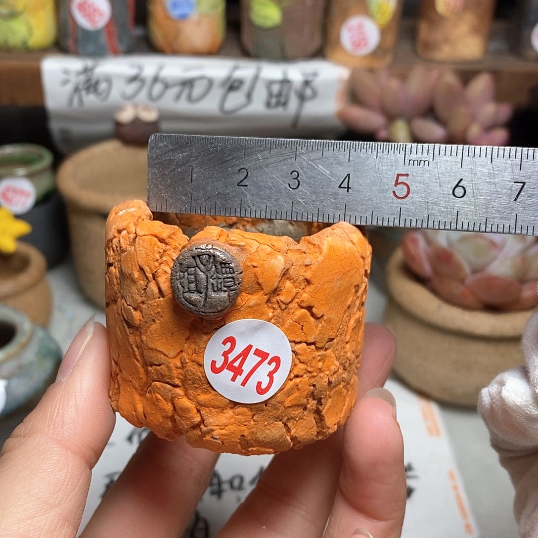 红陶拍5送一个小