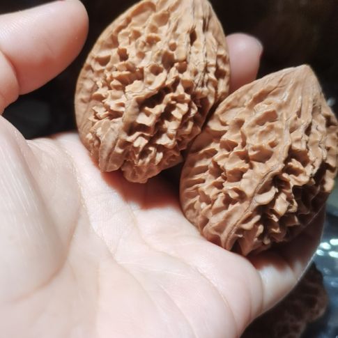 猴头核桃吊坠39招财鼠