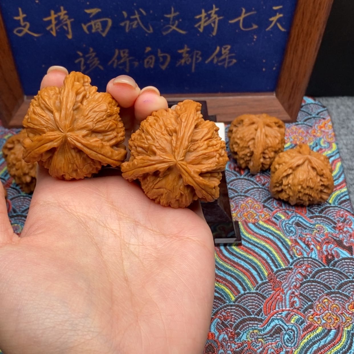 【闪购商品】辣**芋白狮