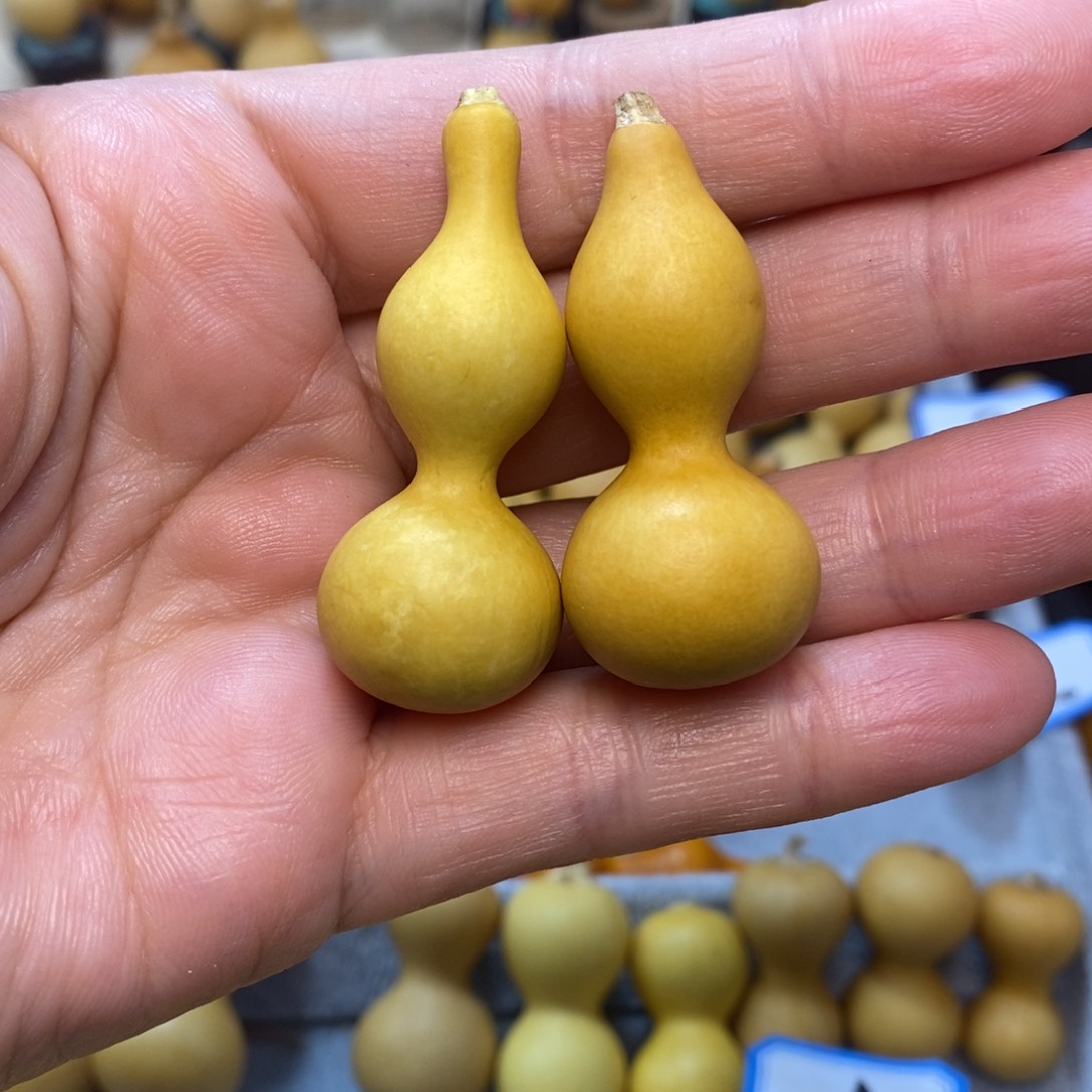 ?****?直播间手把手小胡的