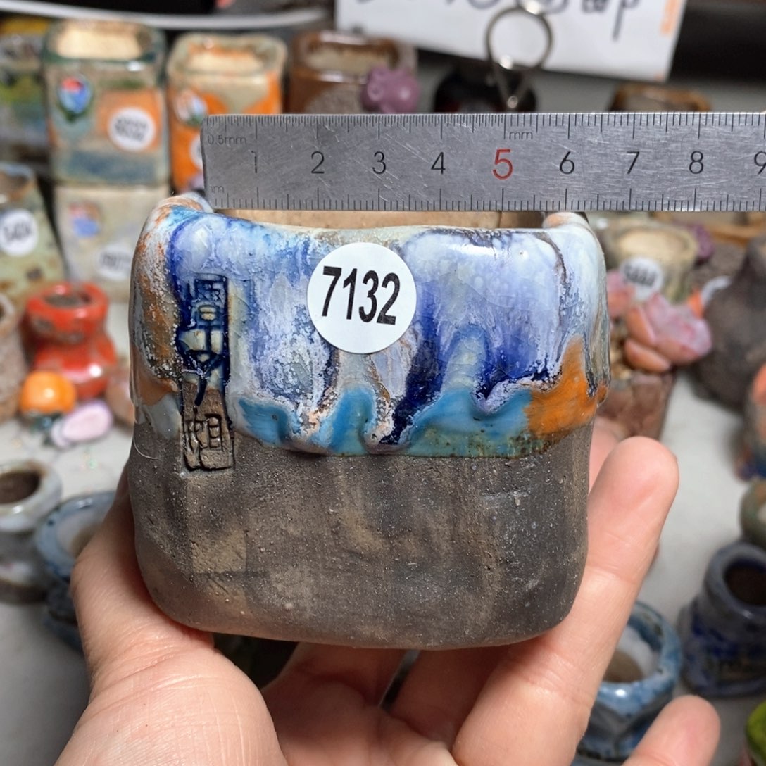 多肉花盆拍3送一个小礼物