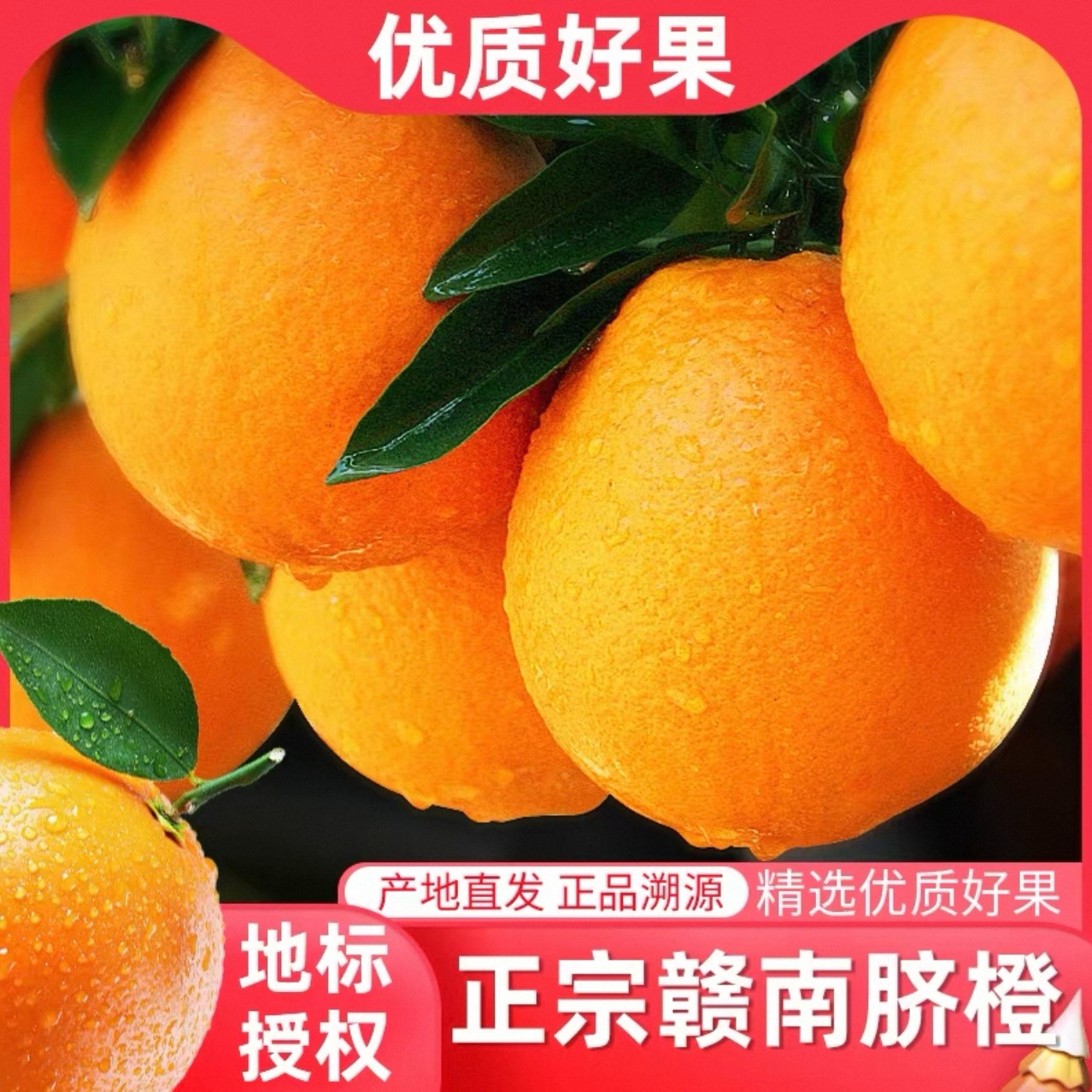 正宗赣南信丰核心产区脐橙产地直发应季新鲜水果爆汁橙子