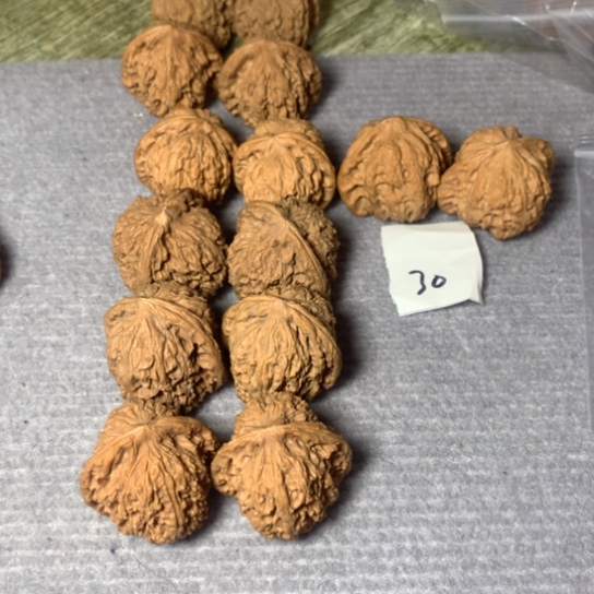 文玩核桃吊坠买一赠六