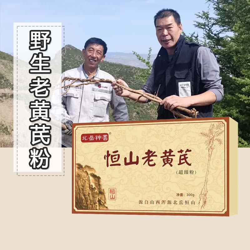 野生老黄芪 . 道地（10年野生）