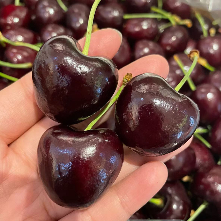 【泰安同城配送】国际大品牌misso车厘子 2JJDD级   口感脆甜5斤海运冰车口感Bing宾智利