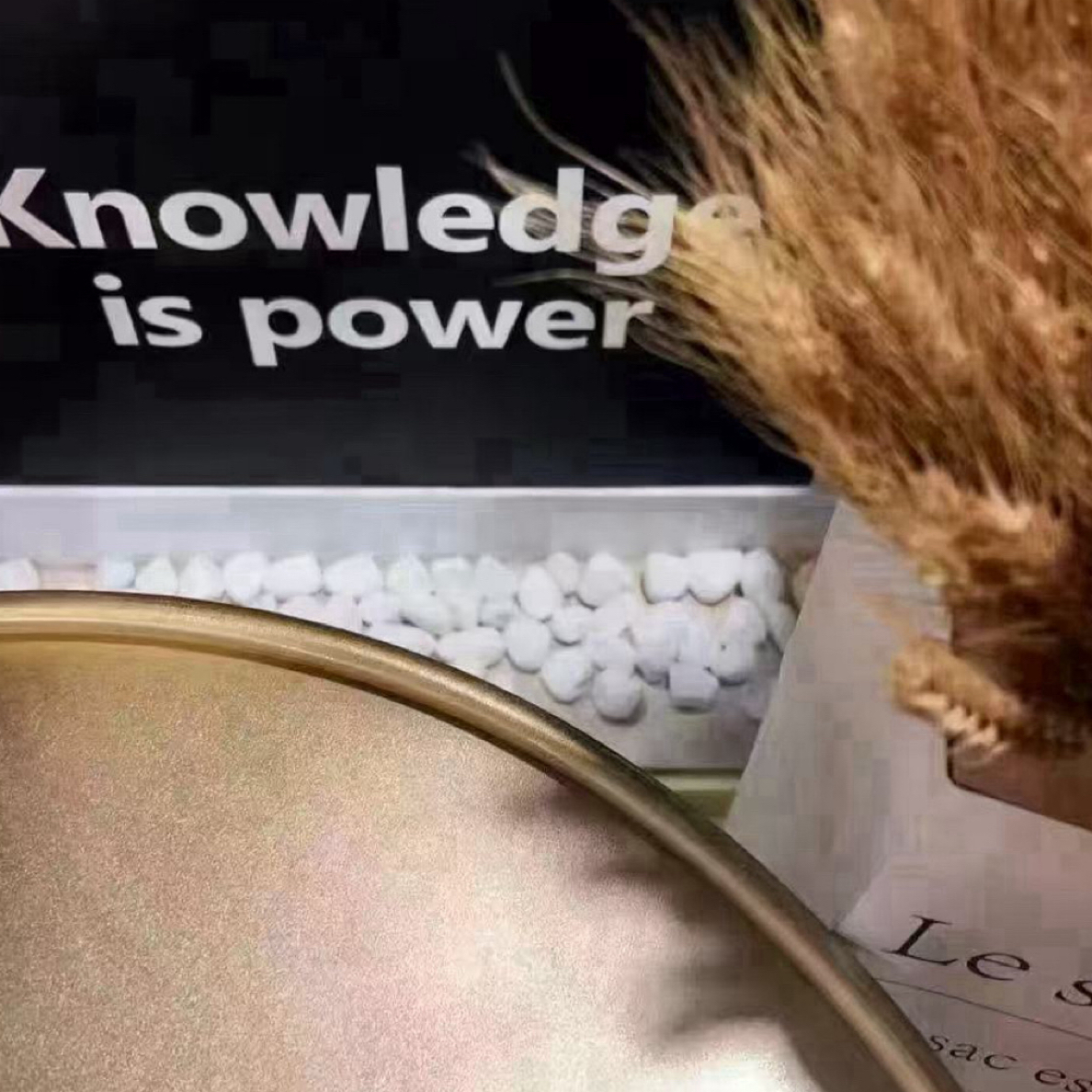 成成妈推荐（200-299）童装T恤