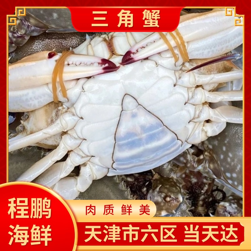 【保鲜不保活】三角蟹（单只2-4两每斤2-5只）当天发货