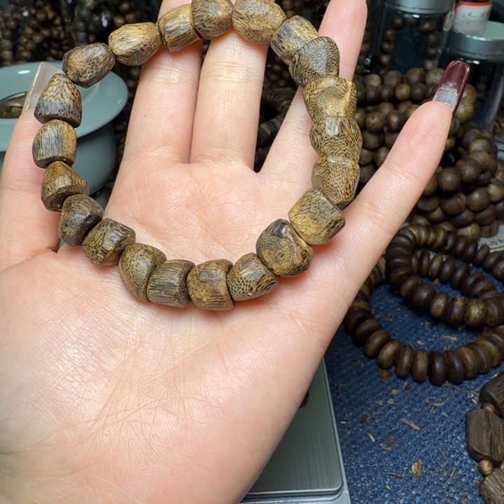 树脂制品圈**白奇树丁多样性发