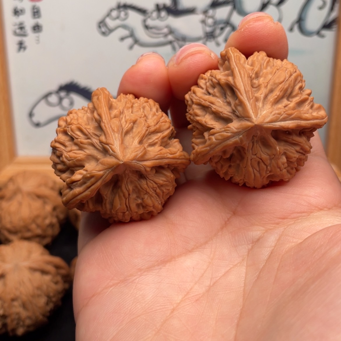 【闪购商品】文玩核桃把件哈*板38全品文山