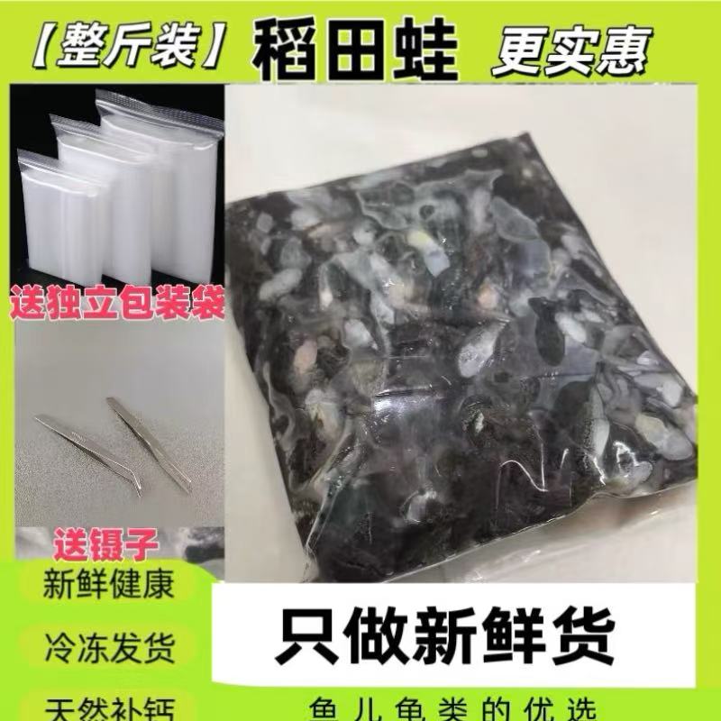 【整斤装】-78°干冰保鲜雷龙饲料冷冻稻田小青蛙高蛋白长帆神器新鲜