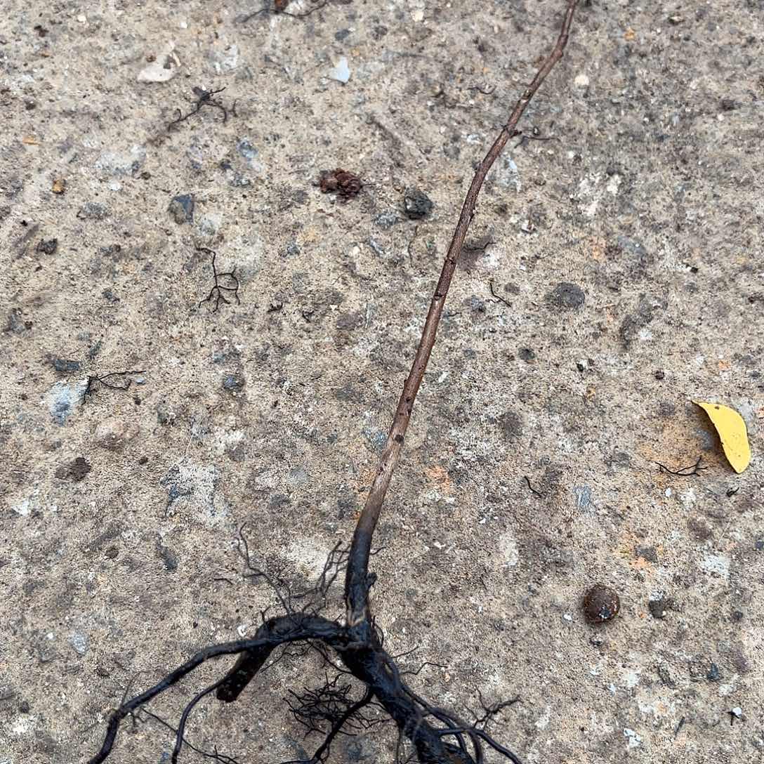 处***器哈哈哈哈哈哈哈哈哈