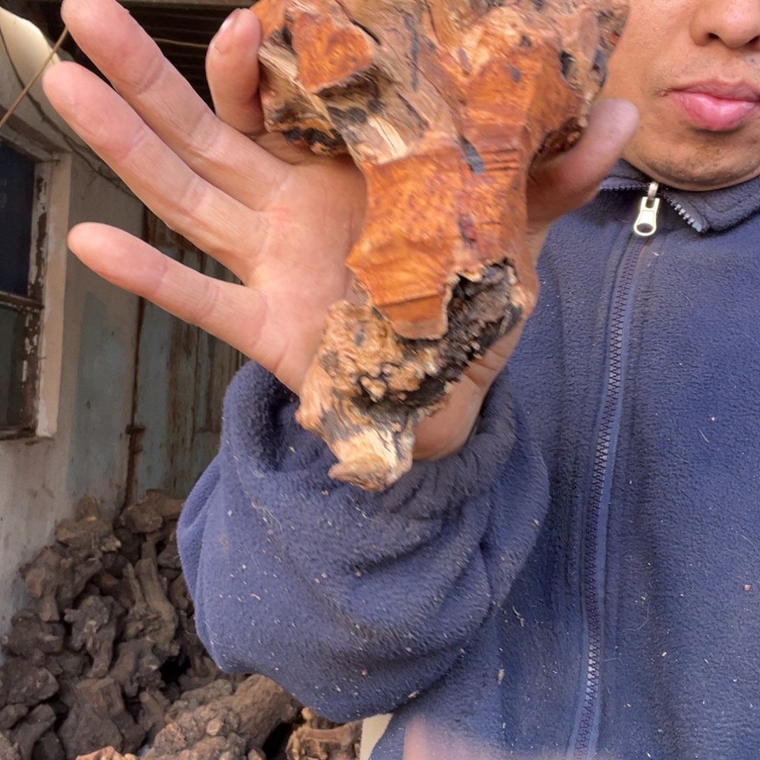 尼***欢无花朵00000000000319