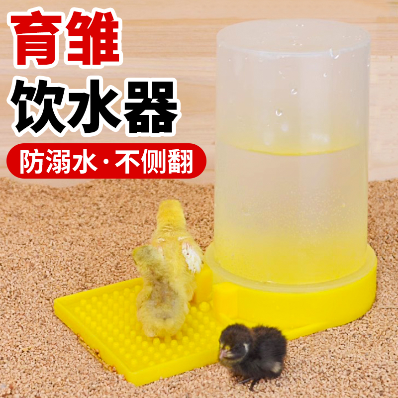 芦丁鸡喂水器雏鸡饮水器防幼鸡溺水喂水器芦丁鸡防溺水喂食器批发