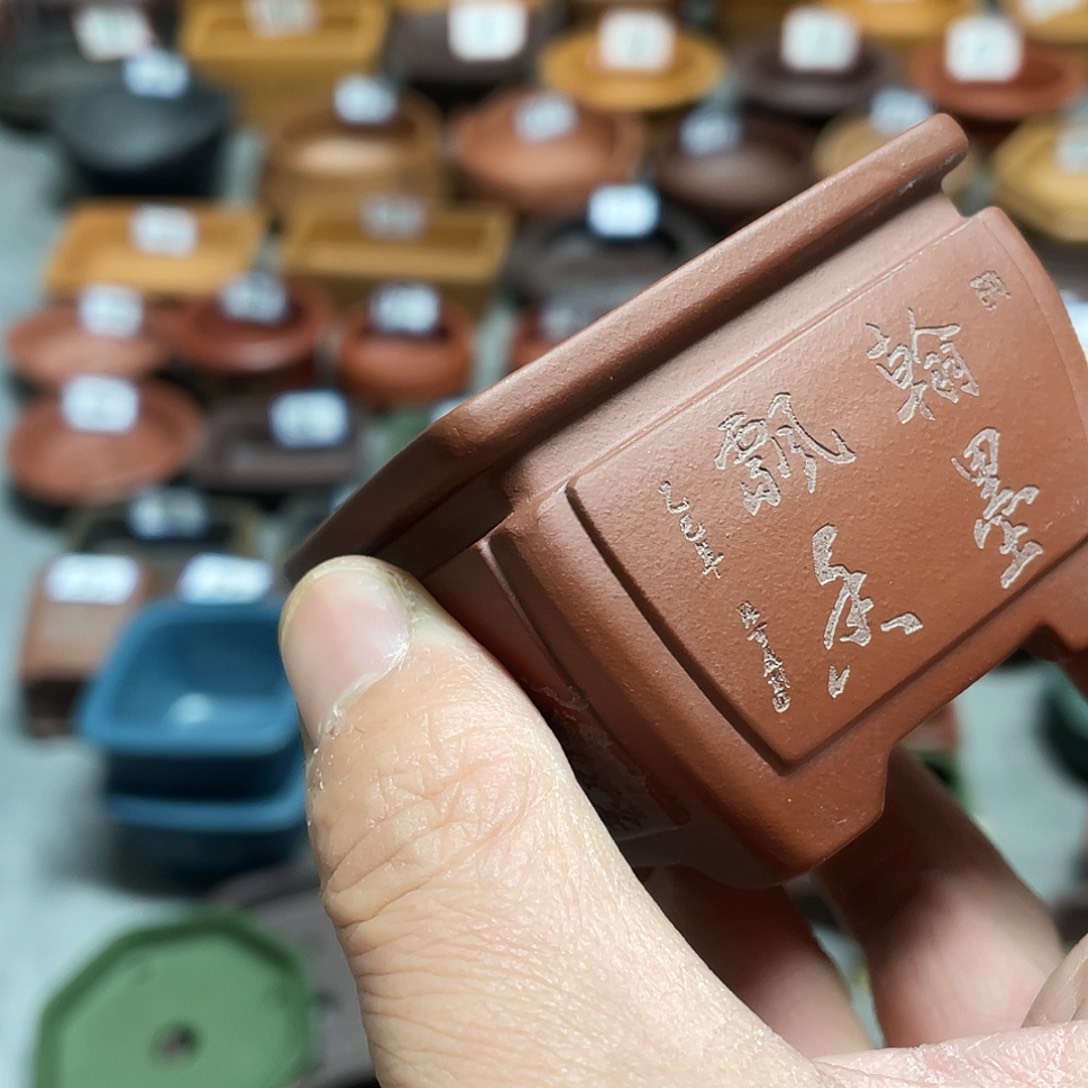 紫砂小盆5*4cmmmmm